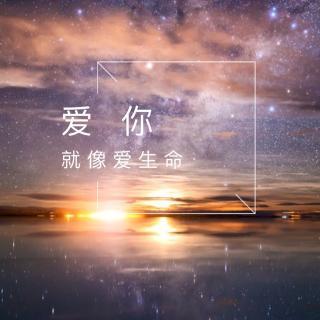 爱你就像爱生命