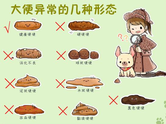 异常这个症状并不少见,很多人都将它局限于大便颜色或排便次数的异常