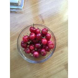 现摘先发】山东临朐大棚樱桃车厘子大樱桃新鲜水果 红灯 2斤 实拍图