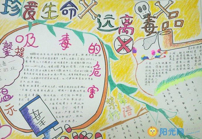 禁毒手抄报图片精选