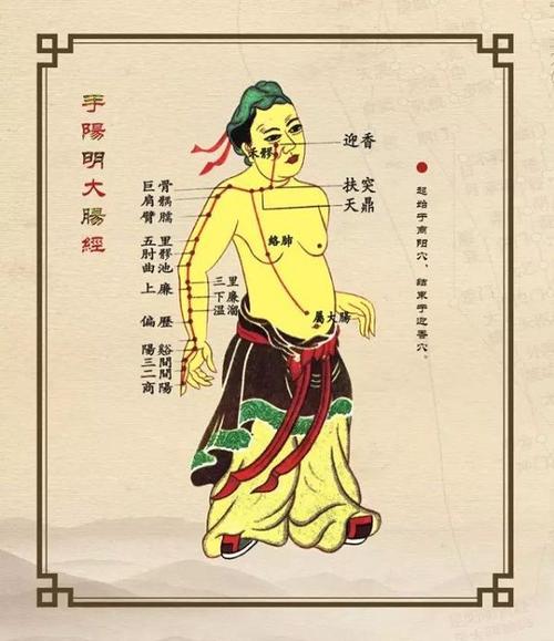 大肠经上的穴位,你知道几个?