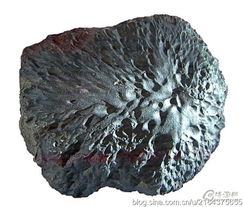 [转载]带陨熔流线的精美定向陨石〔组图〕