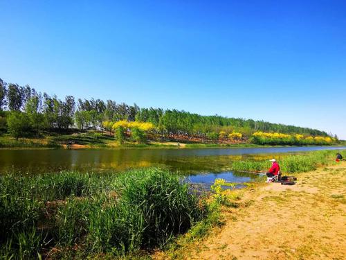 骑游武清区北运河郊野公园及永定河故道湿地