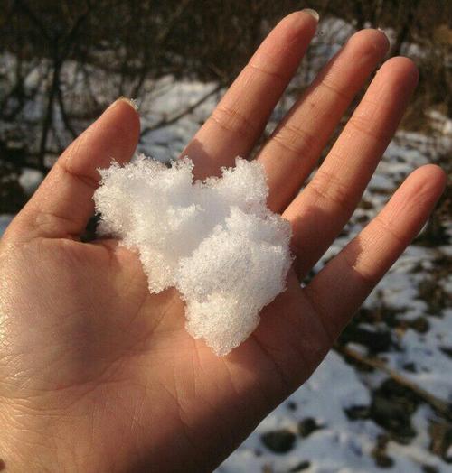 妈妈笑着抓起一把雪:孩子,等会看看,妈妈手里的雪有什么变化?