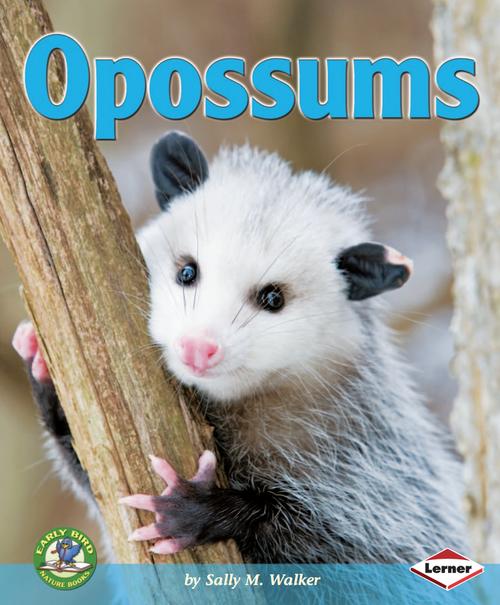 opossums (early bird nature books)-[sally m walker]科普.pdf