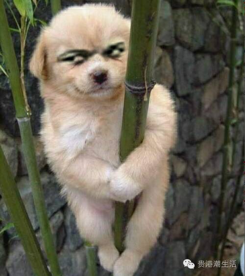 在贵港不知道这些规矩,您就丢人现眼去吧!