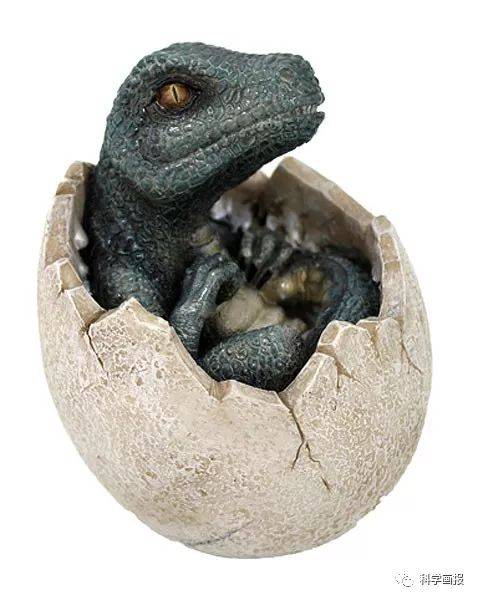 小恐龙你好,能介绍一下自己吗 | 3~7岁幼儿科普,全家一起来听