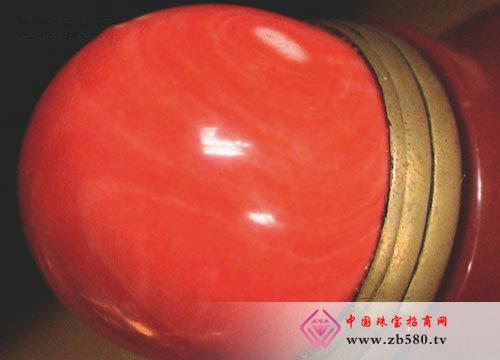 并不是所有生长在海里的珊瑚都可以用做装饰,价值连城.