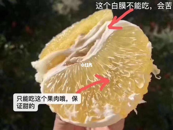 台湾黄金葡萄柚
