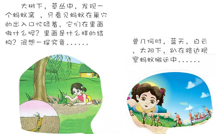 儿童科学实验探索玩具小学生幼儿园科学区角材料生物颗科技小制作