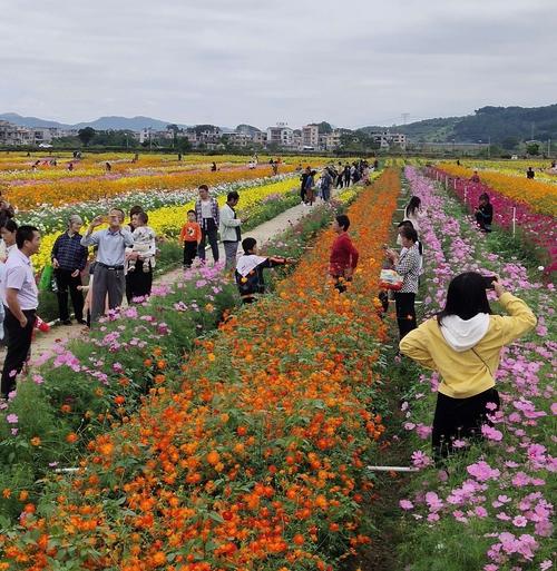 富川神仙湖花海一日游