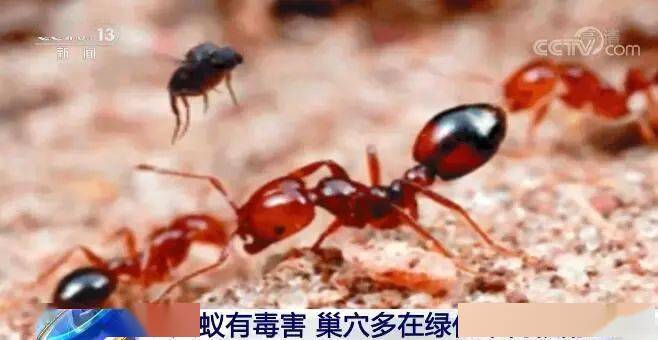 警惕!