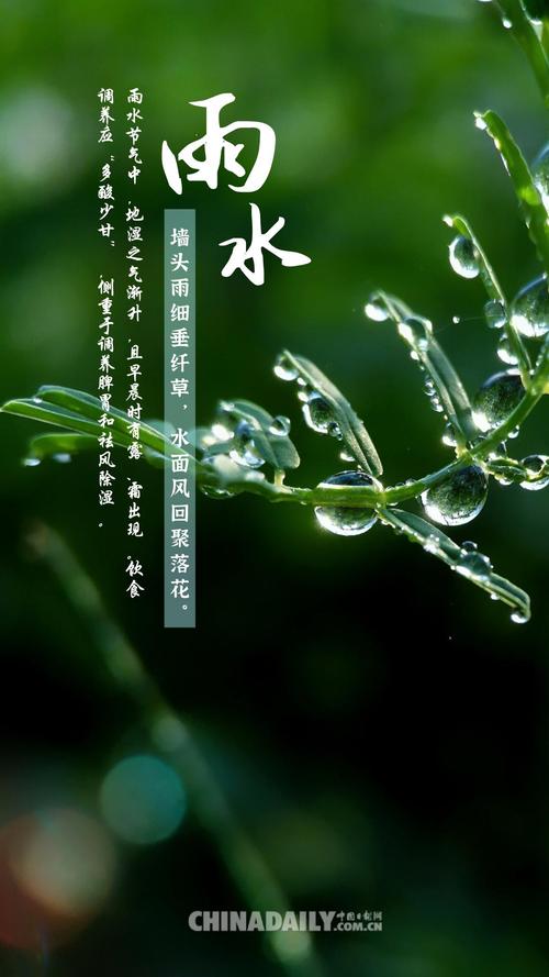 海报▏今日雨水播种梦想不负春天