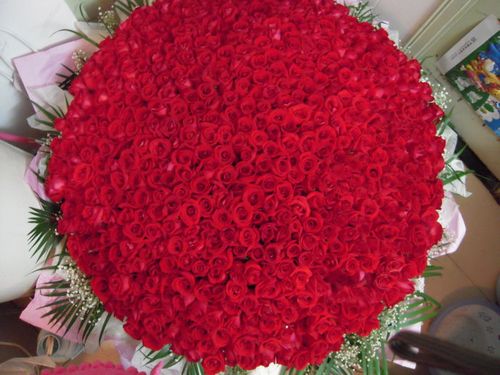 999朵玫瑰花
