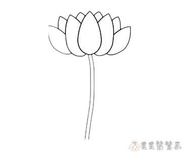 简单的荷花简笔画荷花儿童画