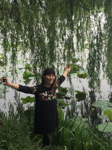 杨柳树下的美女