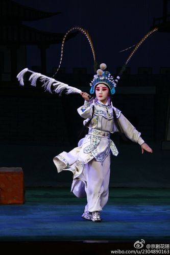 优秀青年京剧演员丁芸芸在《杨门女将》中饰演杨文广1
