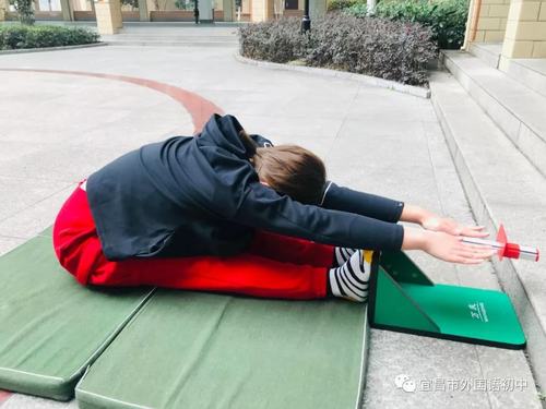 坐位体前屈教学