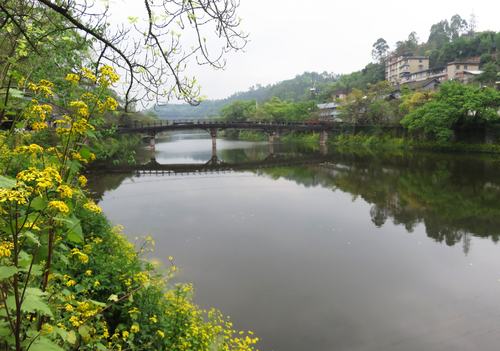 乐山小西湖的雨巷寻觅