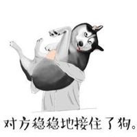 华丽接住表情包带字【点击鼠标右键下载】