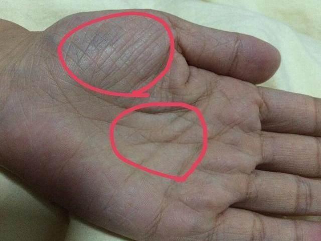 算命的说,容易成为"富太太"和"少奶奶"的四种手相