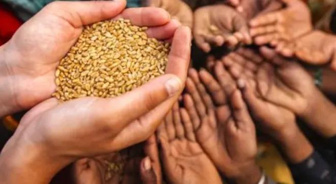 全球粮食危机正酝酿我国提高小麦水稻保护价还有1个好消息