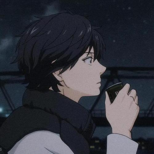 莫名心动的忧郁王子御用动漫男头