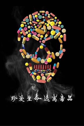 (九)珍爱生命 远离毒品