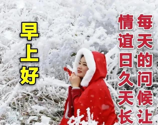 上午好冬日天冷保暖关心问候图片天冷加衣问候祝福图片带字温馨