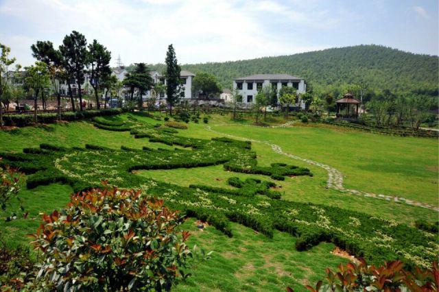 南京江宁《龟山遗址公园》适合旅游拍摄以及影视拍摄