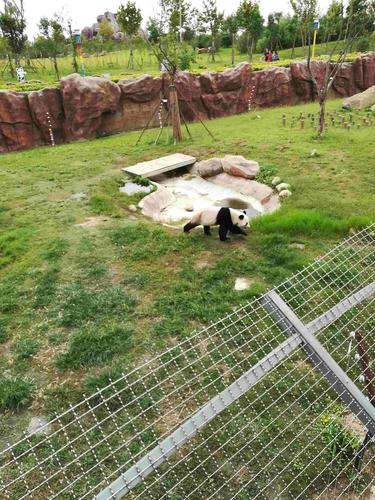 大丰港动物园   成人票