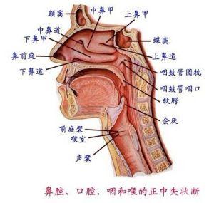 喉阻塞的临床表现