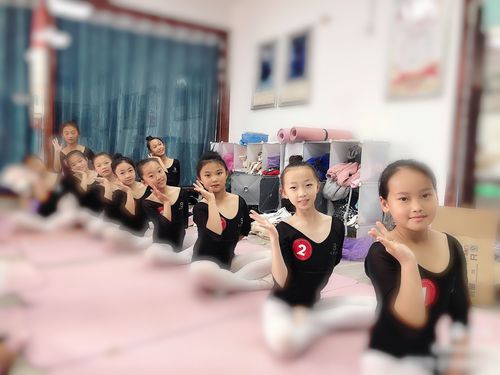 天燕艺校中国民族民间舞蹈等级考试