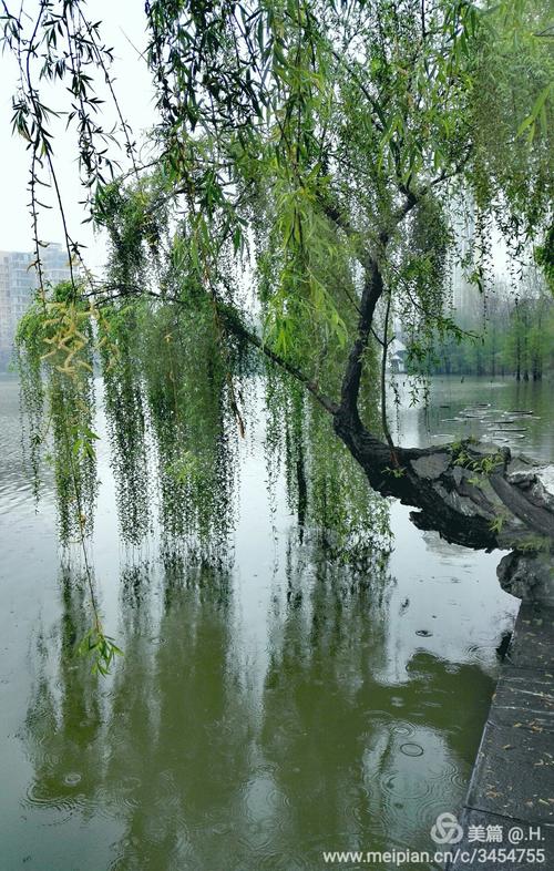 雨中的莫愁湖