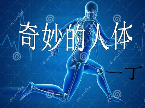 奇妙的人体优秀课件ppt