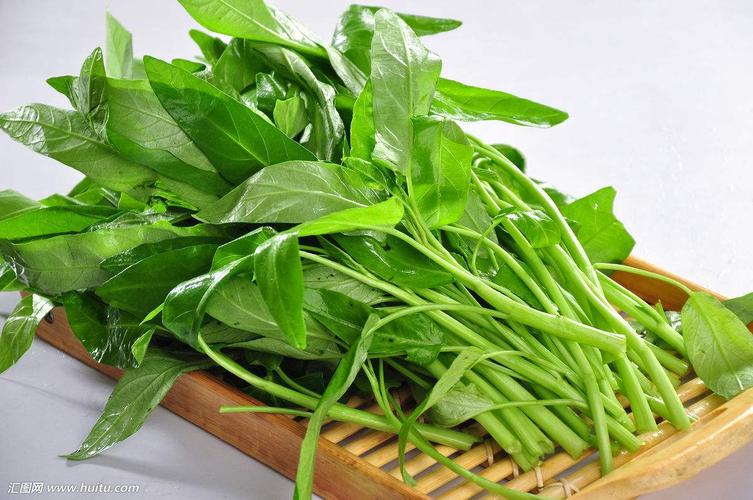 什么蔬菜不属于十字花科?