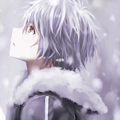 银发动漫男生头像_动漫_男生头像_冷千羽图库_影视