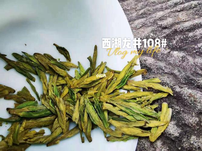 龙井的茶树目前广泛种植的有三种:老茶树群体种,龙井43号(简称龙3)