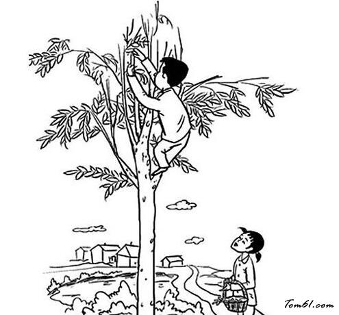 爬树的羊简笔画