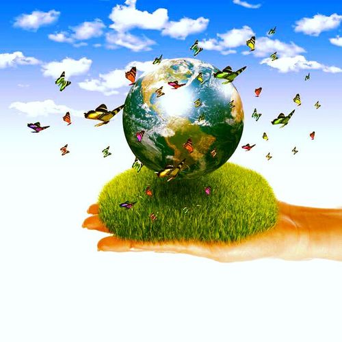 贝贝星幼儿园"变废为宝,创意无限"亲子手工diy大赛