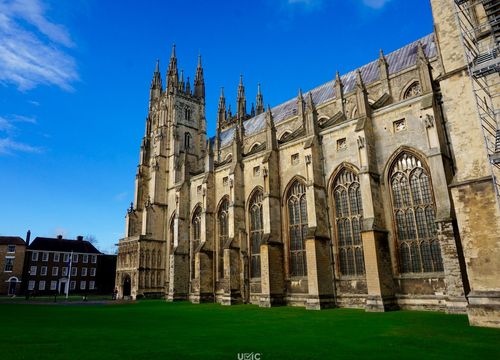 限制陪读(dependant)和打工