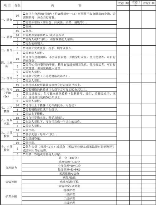 自理能力评定表