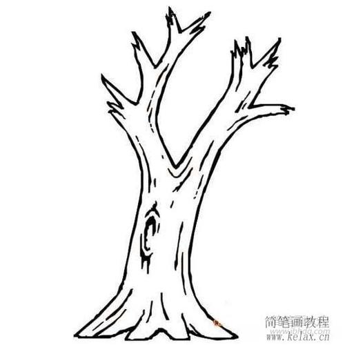 没有叶子的大树简笔画