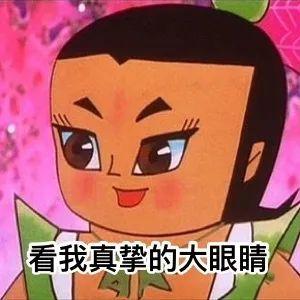 沙雕表情包|看我真挚的大眼睛