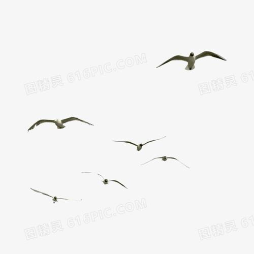 画黑色大雁图片png大雁商业简约矢量图pngpng灰色大雁南飞商业矢量