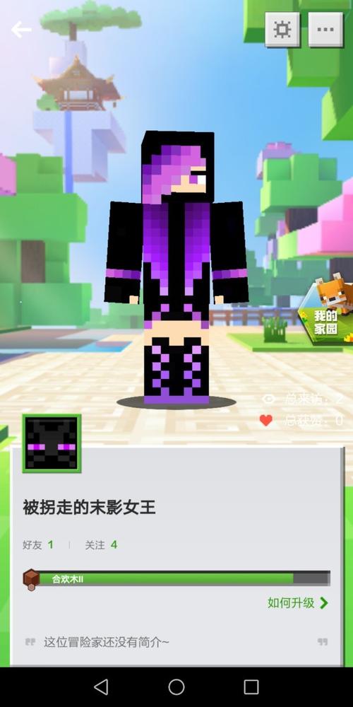 被him拐回家的末影女王