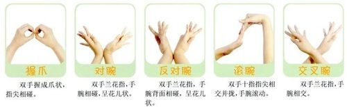 提压腕,上下拳捶掌剑指,六行手心形手指只要熟悉了这些基本手型,创编