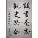 手书真迹书法:董晓菊行书《读书养志 观史思今》