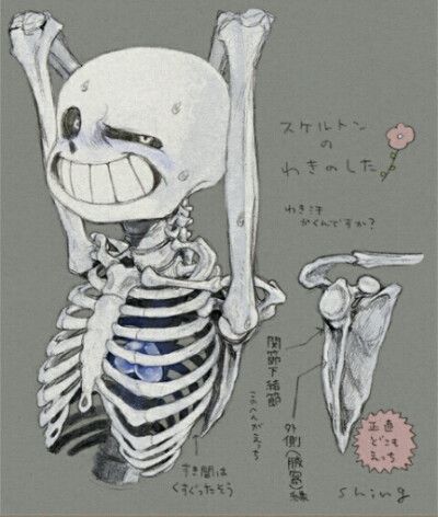 sans 骷髅可爱的馒头精乛乛 undertale 传说之下