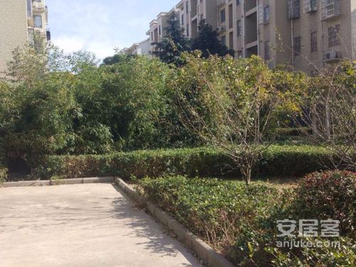 邹新花园(北区),东方大道,近岳杨路 - 常州邹新花园(北区)二手房,租房